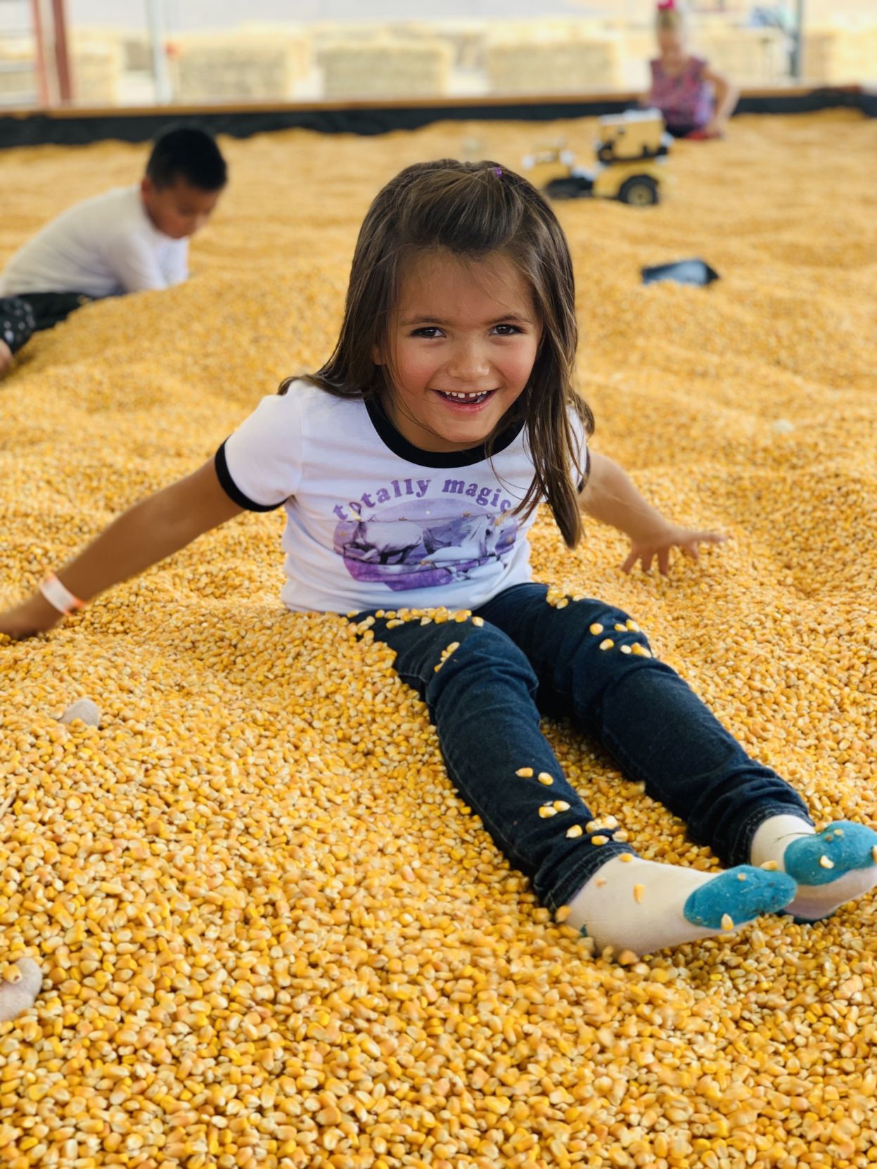Picking Pumpkins 2019